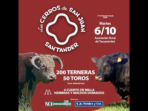 REMATE CABAÑA "LOS CERROS DE SAN JUAN" 2026