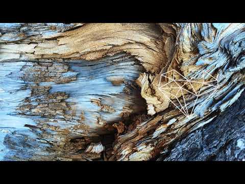 Wassu - Ramu (Madraas Remix) [Downtempo / Seven Villas]