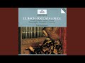 J.S. Bach: Pastorella In F Major, BWV 590