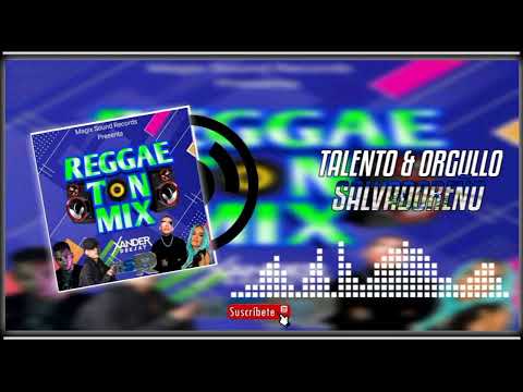 Reggaeton Mix 2023|Xander Deejay (Magix Sound Record)