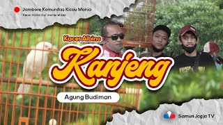 Download lagu KACER ALBINO MATA MERAH  'KANJENG' BIKIN HEBOH DIJAMBORE KOMUNITAS KICAU MANIA NZR mp3