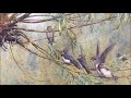 Dorfschwalben aus Österreich, Walzer, Op. 164 - Josef Strauss