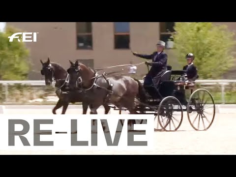 RE-LIVE | Marathon - FEI Driving World Championships for Pairs