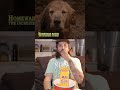 Homeward Bound Taught Us The Toughest Lessons In Life Shorts Movie Act Mukbang Disney
