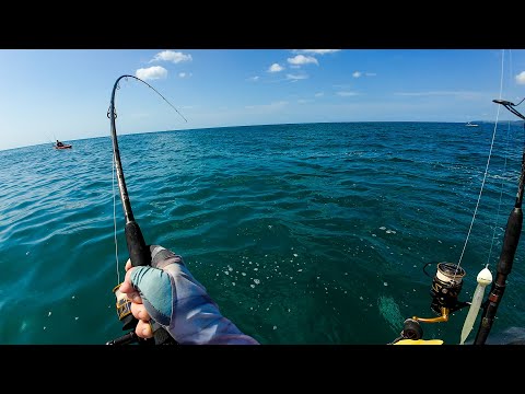 I Took 2 KIDS Offshore Kayak Fishing (Catch & Cook)