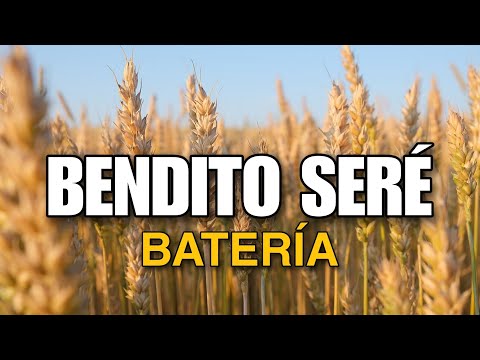bendito seré Iurd (Batería) | AB