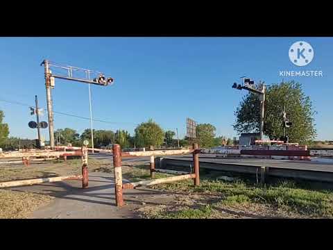 Paso a Nivel RP63 | Tren 306 saliendo de Dolores