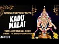 Kadu Malai Ayyappan Song Ananda Roopan Ayyappa Songs S P Balasubrahmanyam Tamil Bhakti Songs