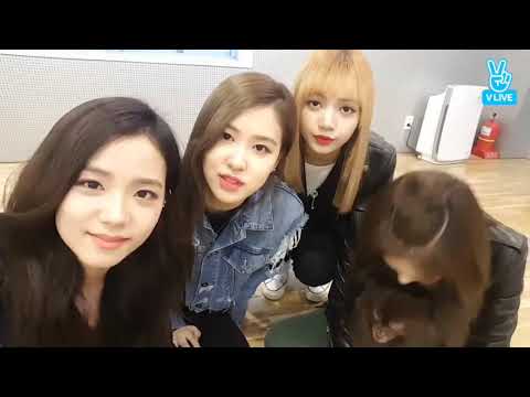 [ALL SUB] BLACKPINK VLIVE 2017.03.31