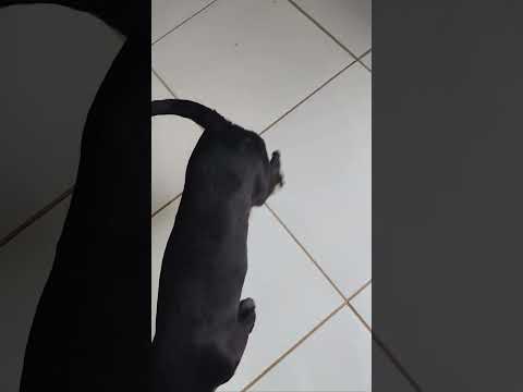 Vídeo de Kiara