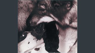 Music video thumbnail preview for 夢 by Syrup16g
