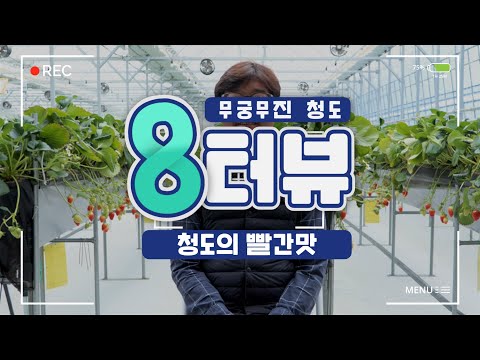 청도에서 딸기 농사로 재미 본 5년차 농부 [청도 8초 인터뷰]