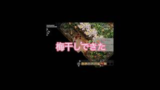気合い梅干し#ほの暮らしの庭#ゲーム実況