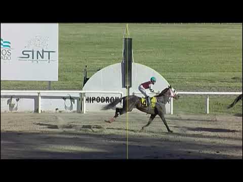 201203_c08 1° MISTER REPORT - SINT PAYSANDU