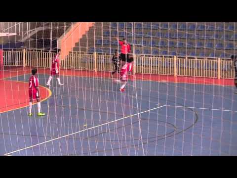 ESB  3 X 4 Nippon   Cat  Sub 13