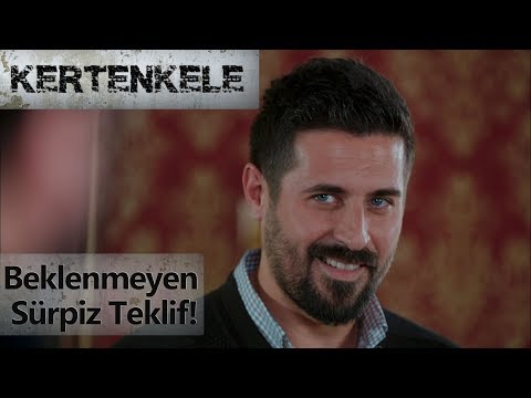 Beklenmeyen sürpriz teklif! - Kertenkele