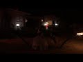 Pixar THX Movie Opening 2019 Light O Rama Larsen Lightshow Santee