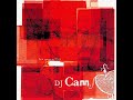 Dj Cam - You Do Something To Me (Featuring China)