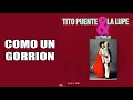 Como Un Gorrion / La Lupe & Tito Puente / (Gonzalo Bolaño Stefanell)