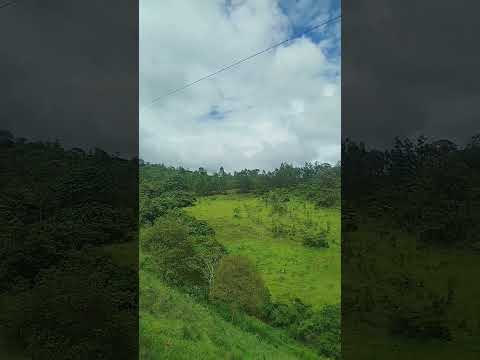 sentido rio vermelho e coluna Minas gerais #vidanaroça