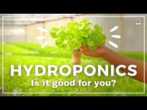 , title : 'Facts to know before starting commercial hydroponics & hydroponic farming at home'