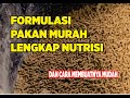RACIKAN PAKAN KOMPLIT NUTRISI DAN CARA MEMBUAT PAKAN LELE MANDIRI DENGAN PROTEIN TINGGI