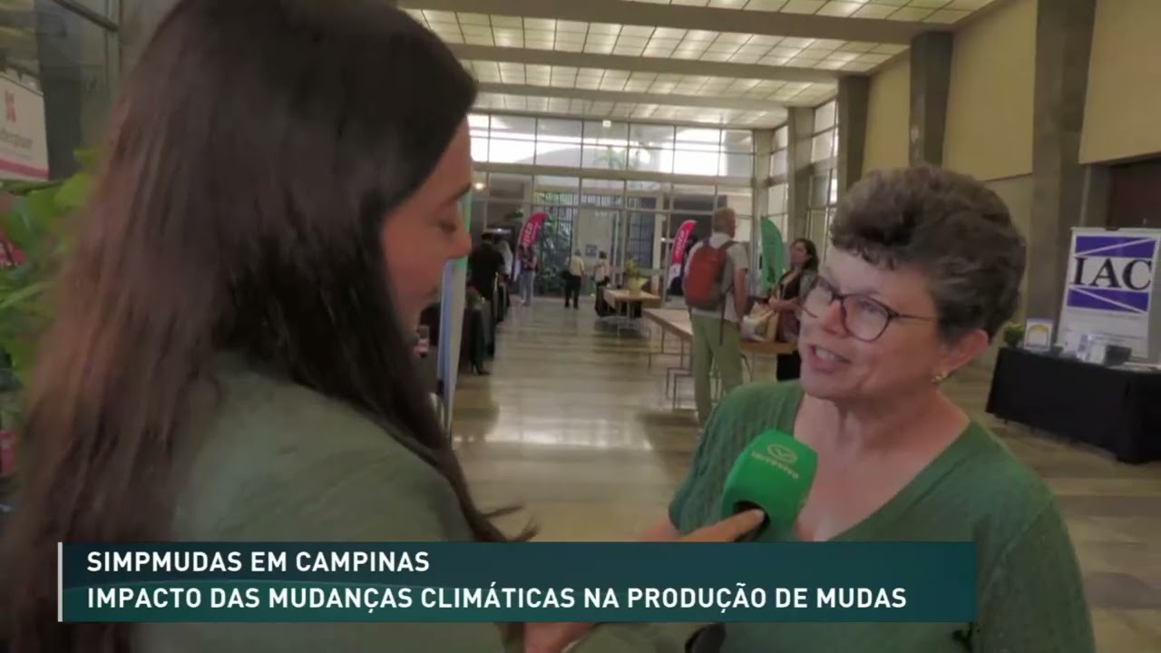 Impacto das mudanças climáticas na produção de mudas