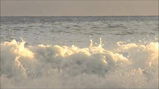 Neil Diamond Gitchy Goomy