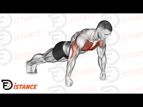Pompes sur les poings - Exercice Pompes sur les poings en vidéo