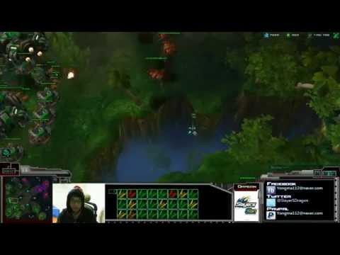 Slayers Dragon TvZ Mass CC Raven