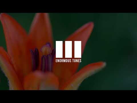 Passenger 10 - Dare To Dream