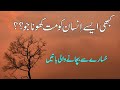 Kabhi Aesy Insan Ko Mat Khona Jo Sad Urdu Quotes Emotional Quotes In Hindi Quotes On Love