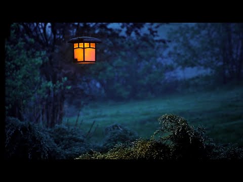 Personal Collection 10 #sinhala #oldisgold | Dj Kush | Fire Hitz Music 🔥