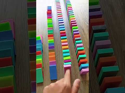 1 体100 dominos