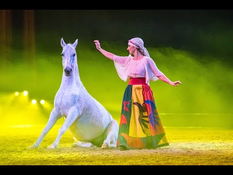 "Gefährten des Lichts" Die Derwisch-Tänzerin - 2017/2018