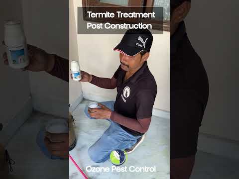 post construction termite treatment bayer premise | odorless | no smell | no fumes | stay safe
