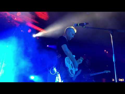 The Movement - Set Sail