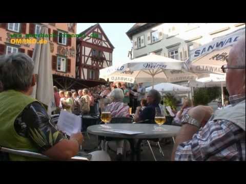 32. Frühlingsfest Eberbach 03.06.2011