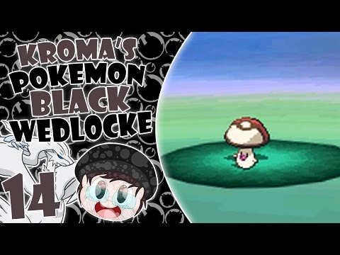Pokémon Black Wedlocke, Part 14 - He's A Pretty Fun Guy!