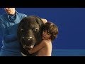 The Jungle Book Behind The Scenes