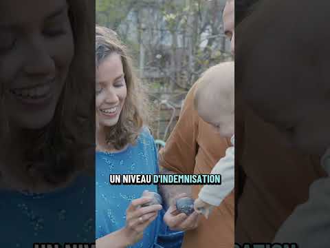 Everything that will change in France in January 2026