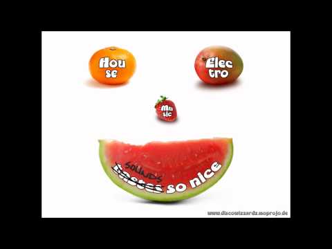 D'Wizzardz - Dj Contest Jahn Baude (Best House Electro 2009 2010) 8/11