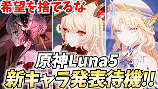 原神新キャラ発表待機！ファルカが来るかニコが来るか！アリスとサンドローネも諦めてない【原神Live】