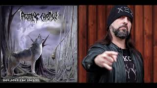 Wolfera the Jackal-Sakis&#39; Guitar part