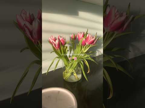 spring is here ✨🩰🌸 #flowers #floralarrangement #morningroutine #spring