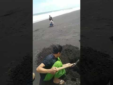 pemasangan tumbal tolak bala di pantai Paseban