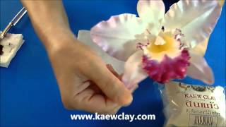 ตัวอย่างการสอนทำกล้วยไม้แคทลียา Some examples in the DVD.