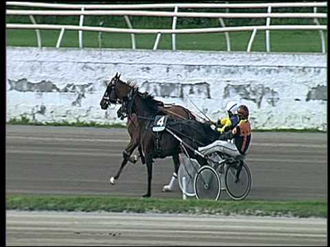 Trotto 01/04/2016 - 4° Corsa