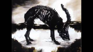 Amenra - Le Fils Des Faux