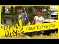 HEA! Goeie Tjerkwerd